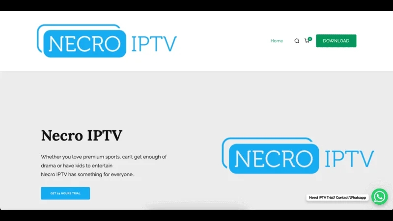 Top IPTV Providers USA